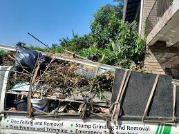 Recycling Services for Junk in New London, MN